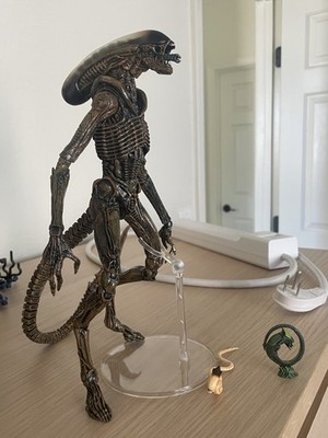 Fotos del artículo de un comprador verificado