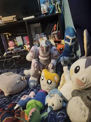 Photos de l'objet d'un acheteur vérifié