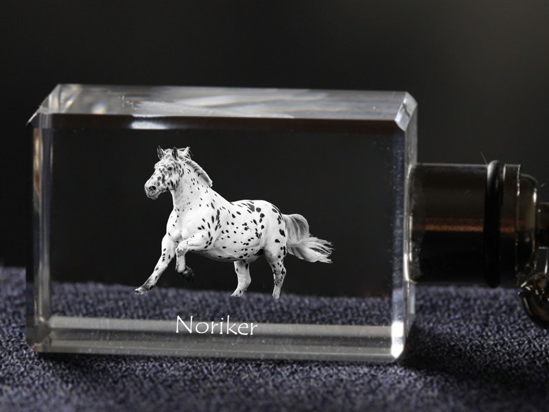 Noriker, Porte-ClÃ©S, En Cristal, QualitÃ© SupÃ©Rieure, Crystal Animals Fr