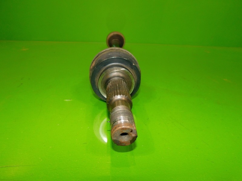 Picture 4