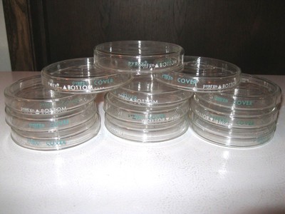 Lot of 12 Glass Petri Dishes Pyrex Tops and Bottoms 100 x 15  Complete 