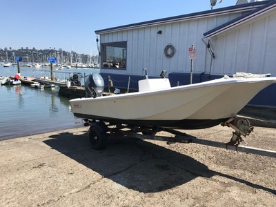 17' Boston Whaler 100Hp Yamaha