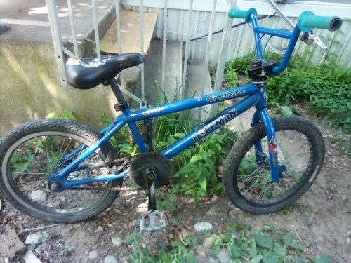 Hoffman Bikes パープル BMXバイク Complete Bikes Bmx - Hoffman Bikes 25 years