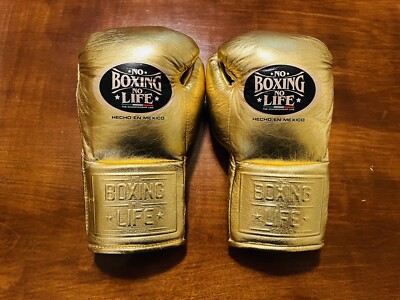 NO BOXING NO LIFE ボクシング グローブ 8oz 8オンスグローブ