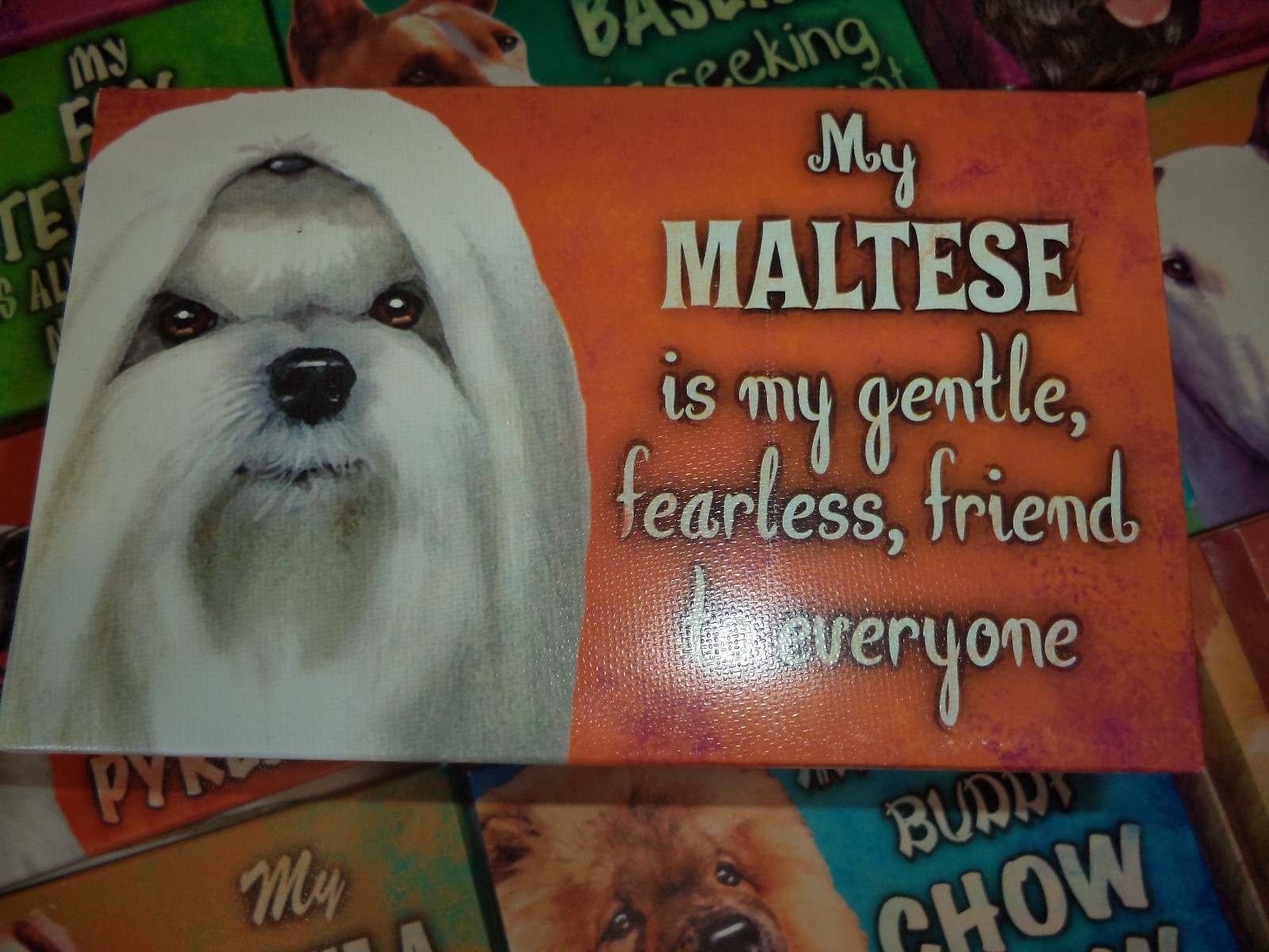 PRECIOUS PRINTS BY SCANDICAL - VARIOUS DOG BREEDS - PAPILLON, SHARPEI, MASTIF #4