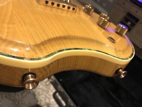 Polytone Contempo Guitar 1980s with Hardshell Case