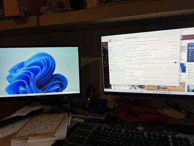 Foto dell'oggetto di un acquirente verificato