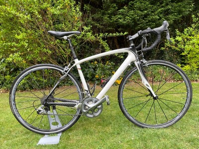 Specialized+Roubaix+Expert For Sale