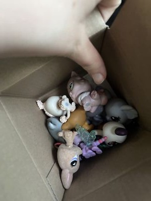 Item photo(s) from verified buyer