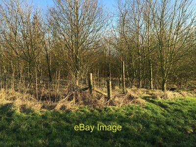Photo 6x4 Black Bank: stile into copse below trig point Blank Bank This i c2015