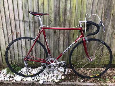 Saroni vintage 1980 Racing bike - restored Campagnolo and Cinelli 