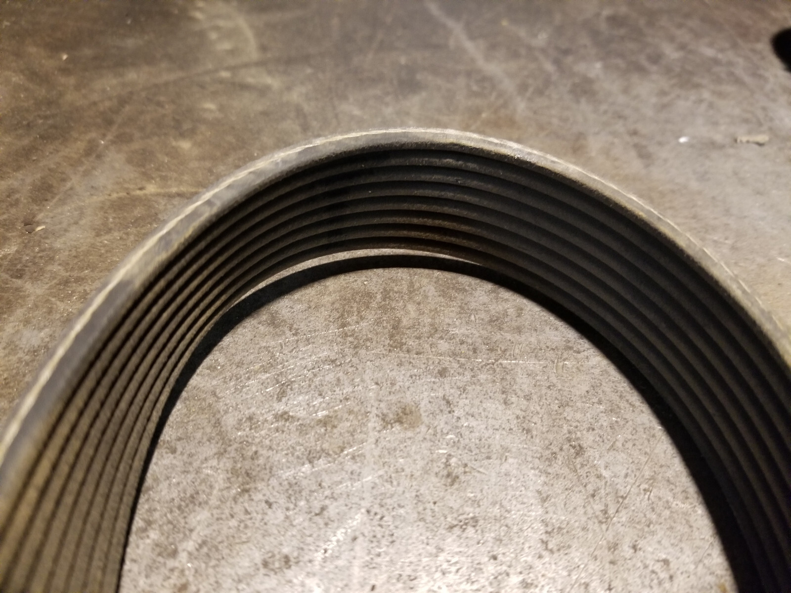 JOHN DEERE BELT T197521 - Picture 3 of 3