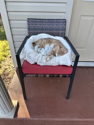 Artikelfoto(s) von einem verifizierten Käufer