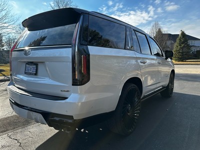 unclassified image 11