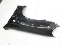 Hyundai Terracan 04-06 Kotflügel Links Vorne EB Hyundai Terracan 04-06 30.03.2006 66310H-1520 gebraucht Vorschau 4