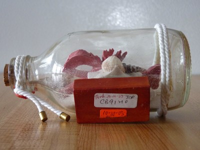 Unique Design Decorative Clear Glass Sand & Shell Bottle ! Lobster !