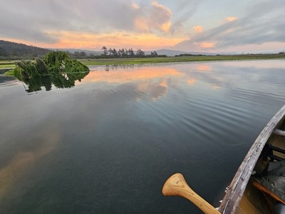 Zdjęcia przedmiotu od zweryfikowanego kupującego