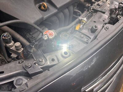 Foto dell'oggetto di un acquirente verificato