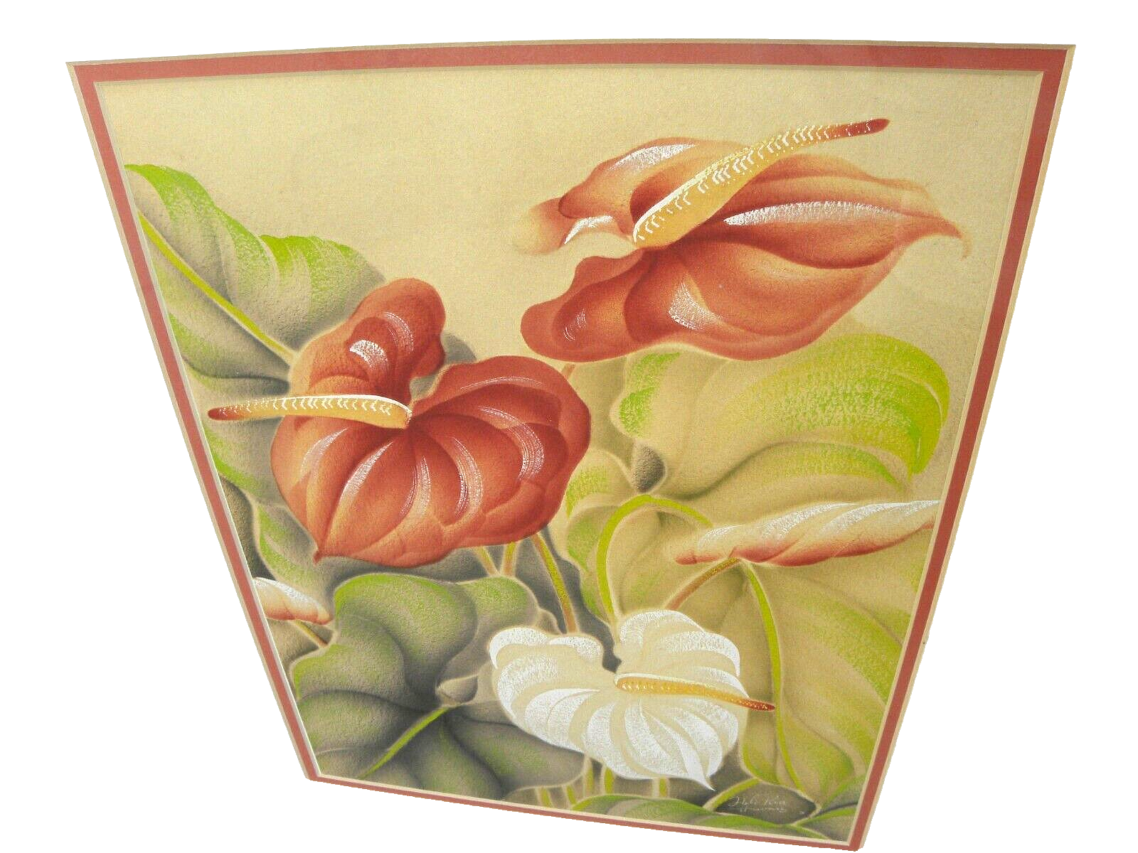 Hale Pua/ Black Velvet Bird of Paradise