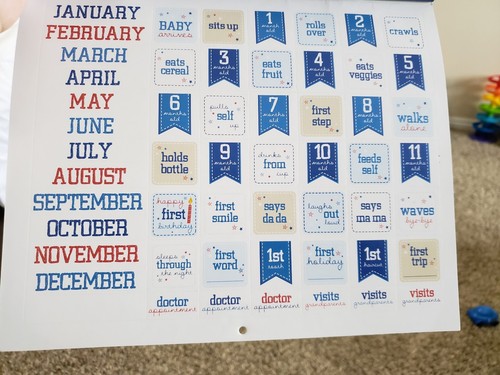 C.R. Gibson Baby's First Year Calendar with Stickers 