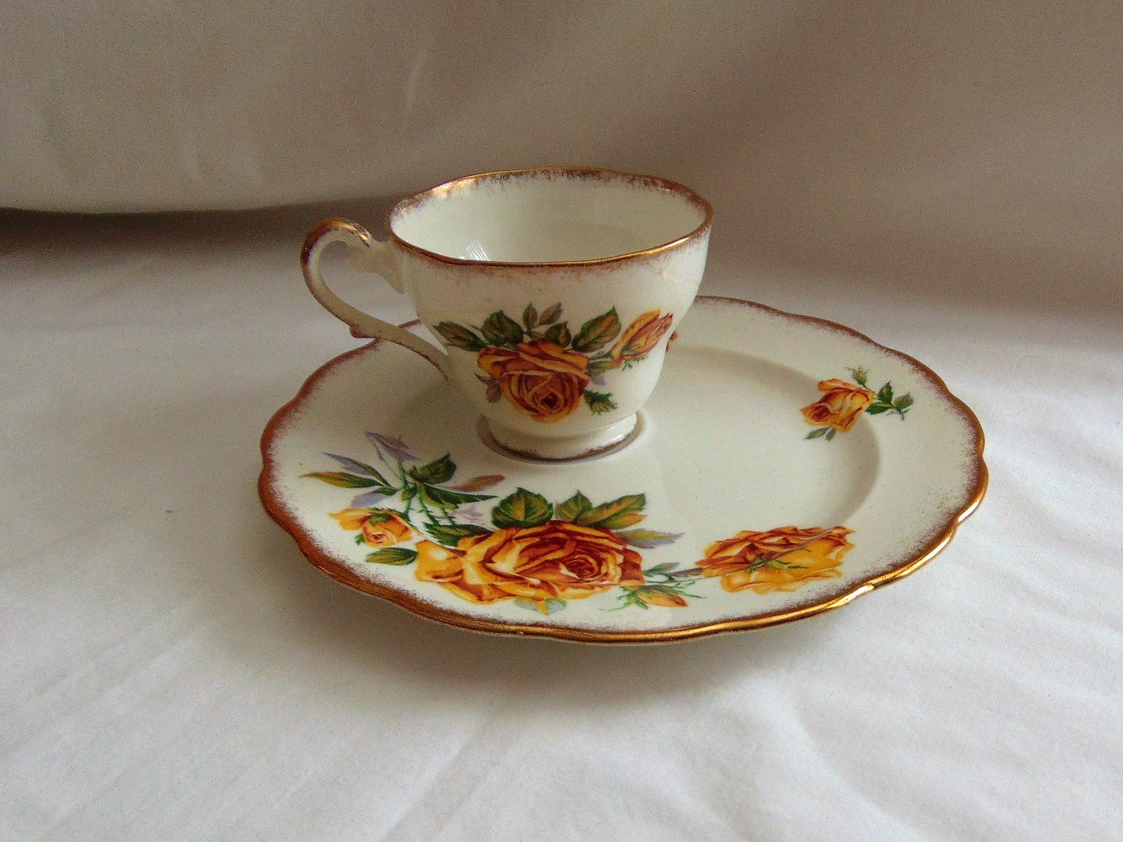 Royal Standard Fine Bone China ROMANY ROSE Cup & Saucer Plate Set of 6 UNIQUE !!