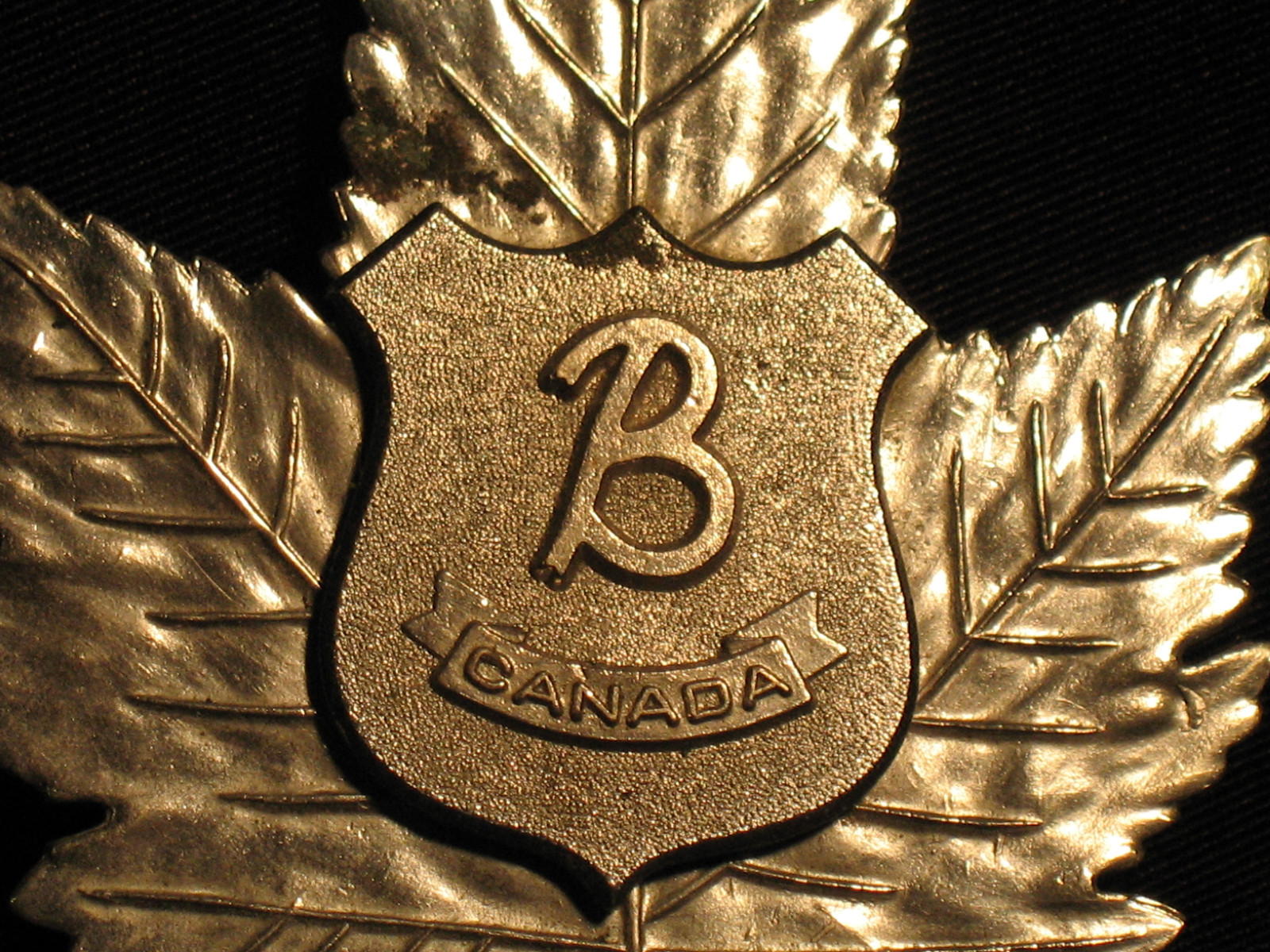 Vintage Barnes Security Guard Badge Pin Medal Maple Leaf Canada Industrial