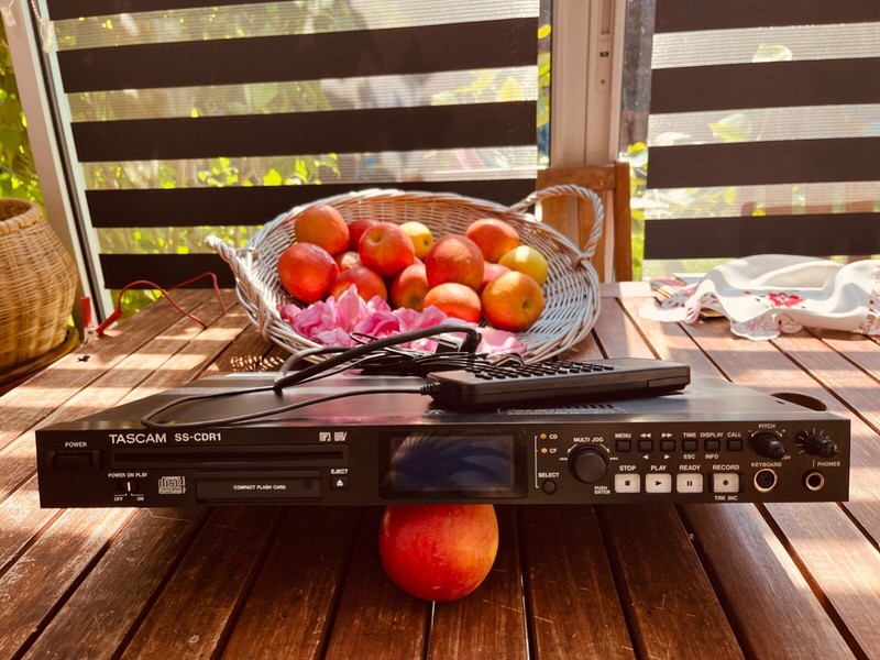 Tascam Ss-Cdr1 Compacte Flash Card Et Cd.