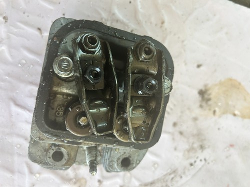 TMH4N'S ＆ FEST VAINQUEUR / head : vain FEST VAINQUEUR公式(New) on X: 