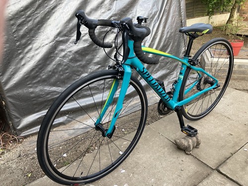 SPECIALIZED DOLCE サイズ44 Dolce