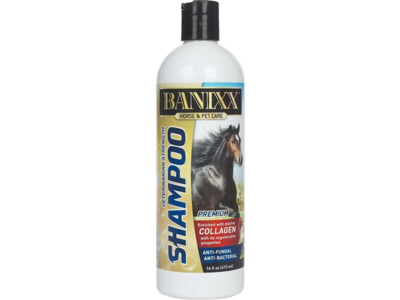 Banixx Horse Shampoo Anti-Fungal Anti-Bacterial Grooming 16oz Made in USA