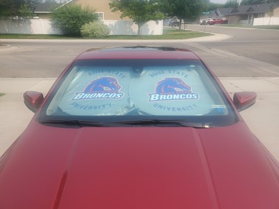 Wholesale Lot - 100 BSU Sunshades