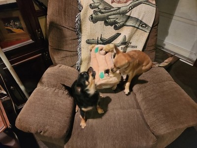 Artikelfoto(s) von einem verifizierten Käufer