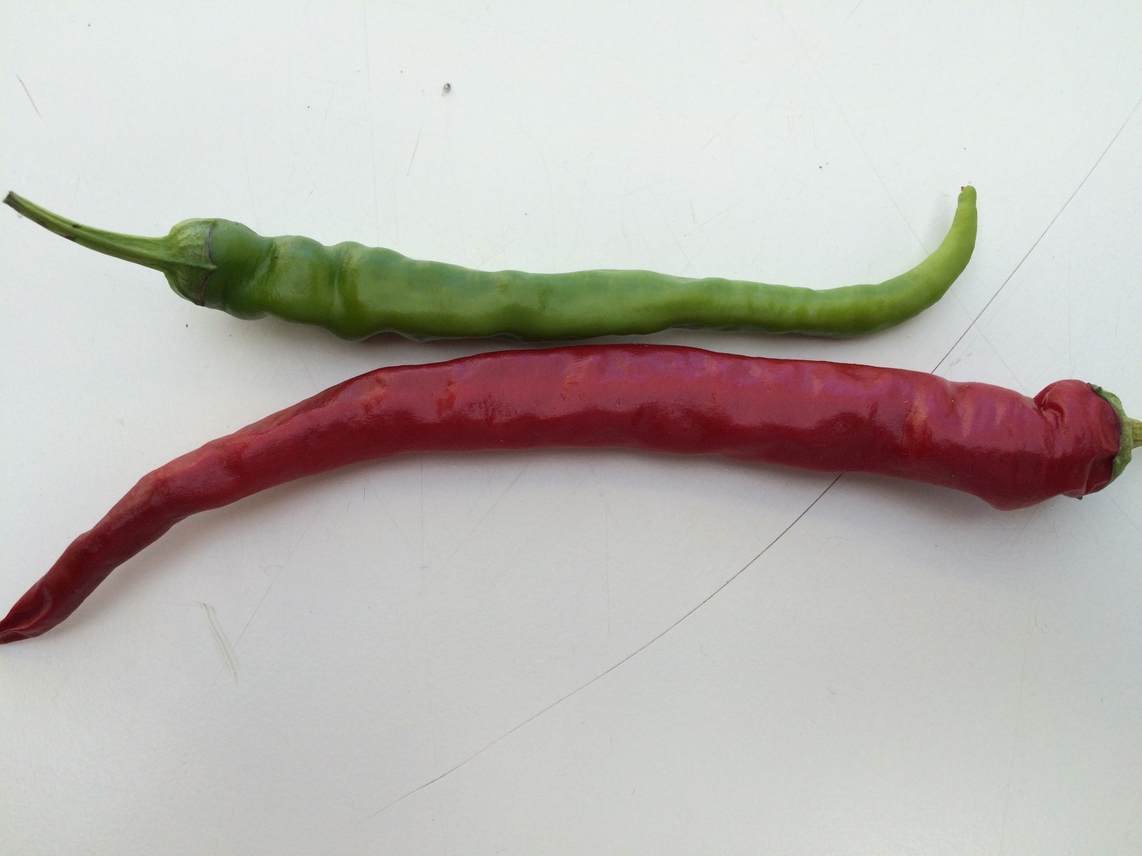 HOT CHILLI PEPPER CAYENNE LONG SLIM 130 FINEST SEEDS eBay