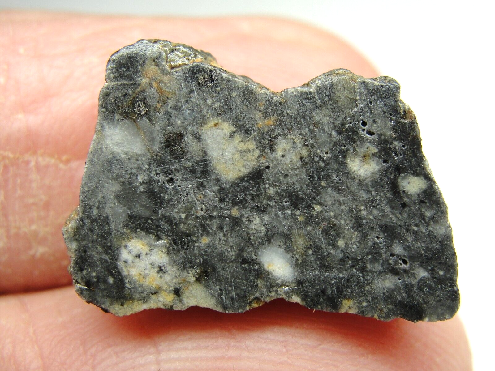Meteorite NWA 11273 Achondrite Lunar Feldspathic Breccia