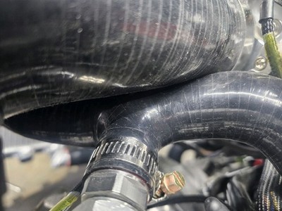 Fotos del artículo de un comprador verificado