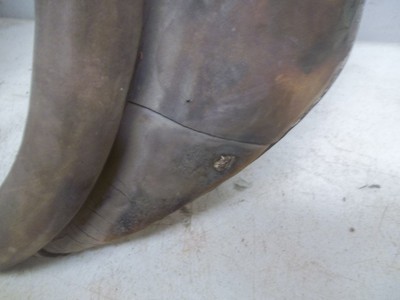 Old Leather Horse Collar Lot C