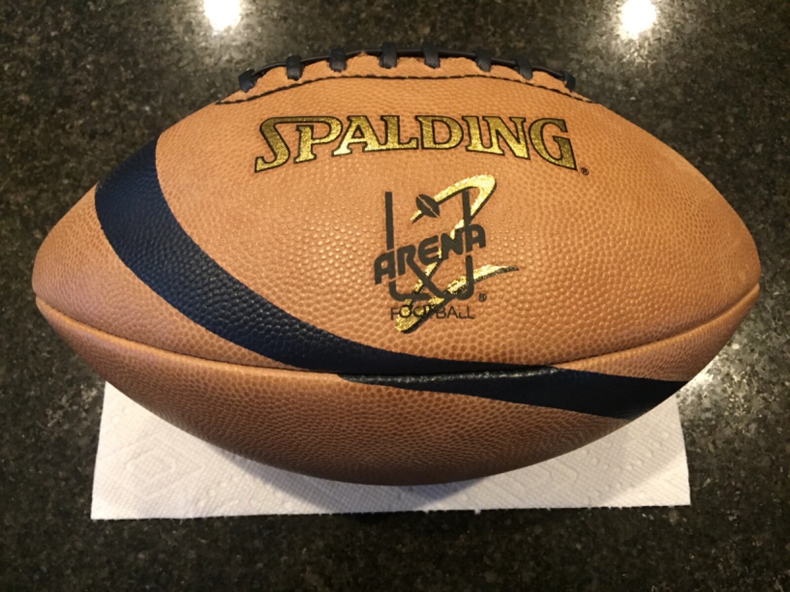 Spalding Authentic Arena 2 AFL Official Leather Football NFL