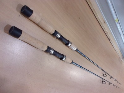 ugly stik elite 10ft