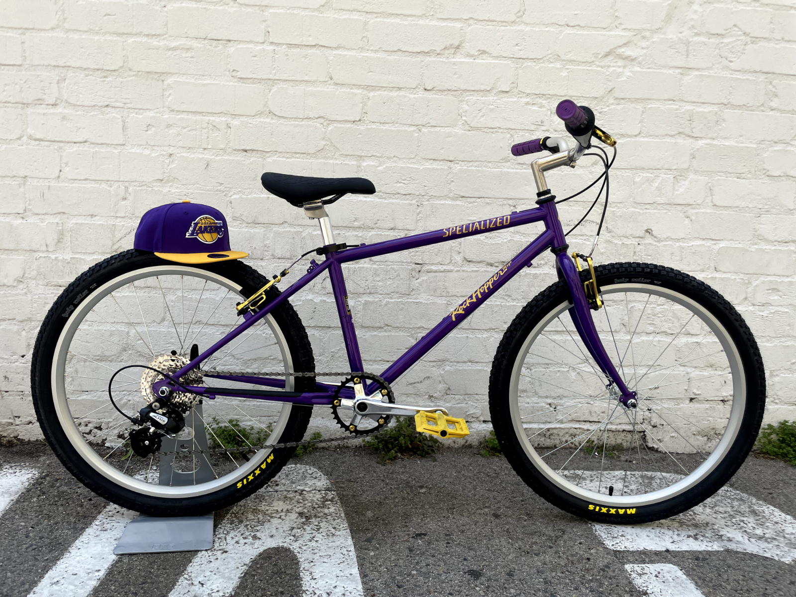 Specialized RockHopper Custom Lakers Edition 24