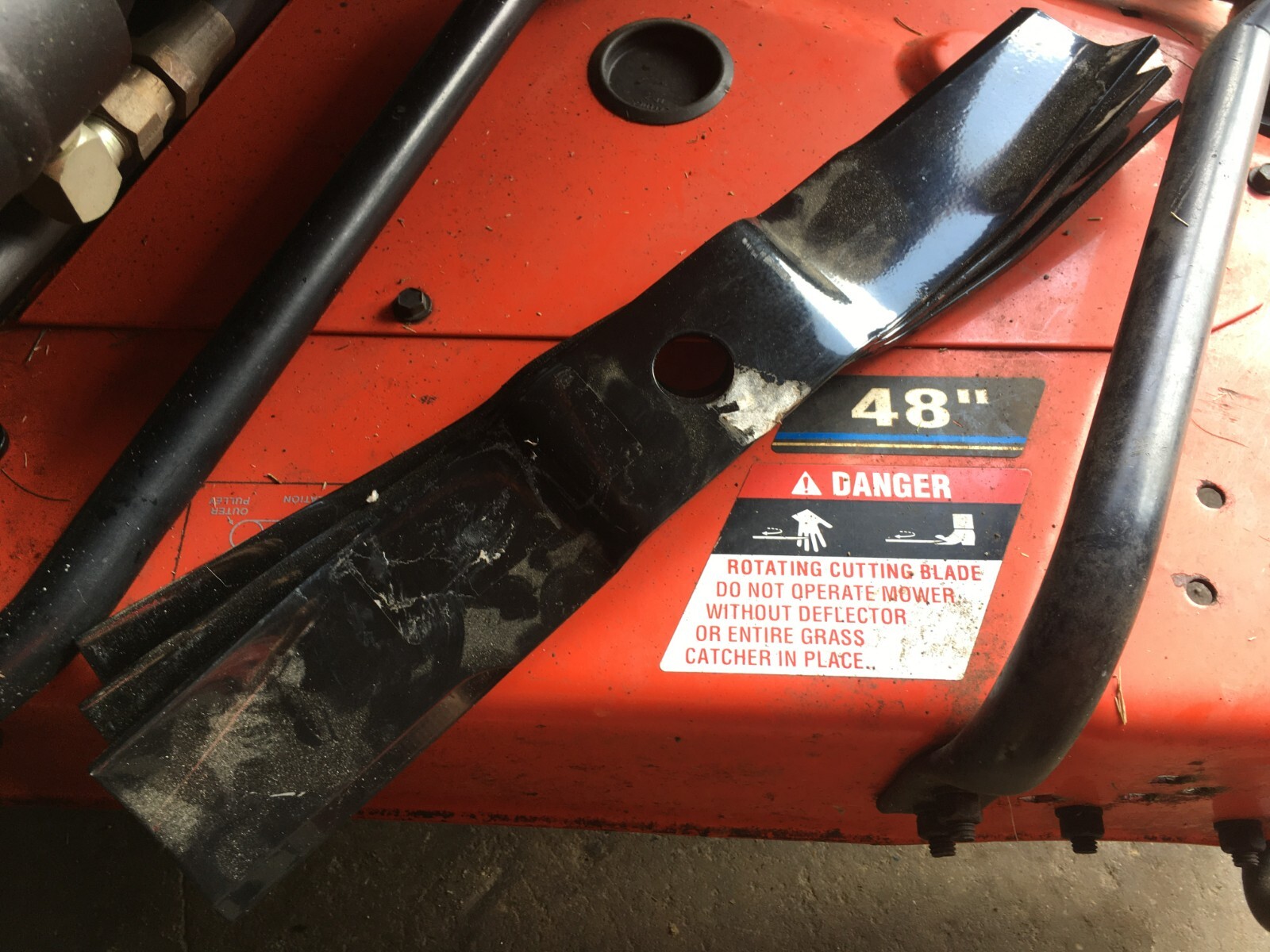 16　Sunshine leaves 16 Sunshine leaves Sunshine Ligustrum | Lemon Yellow Shrubs