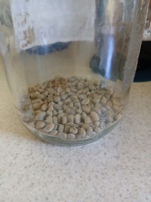 Fotos del artículo de un comprador verificado