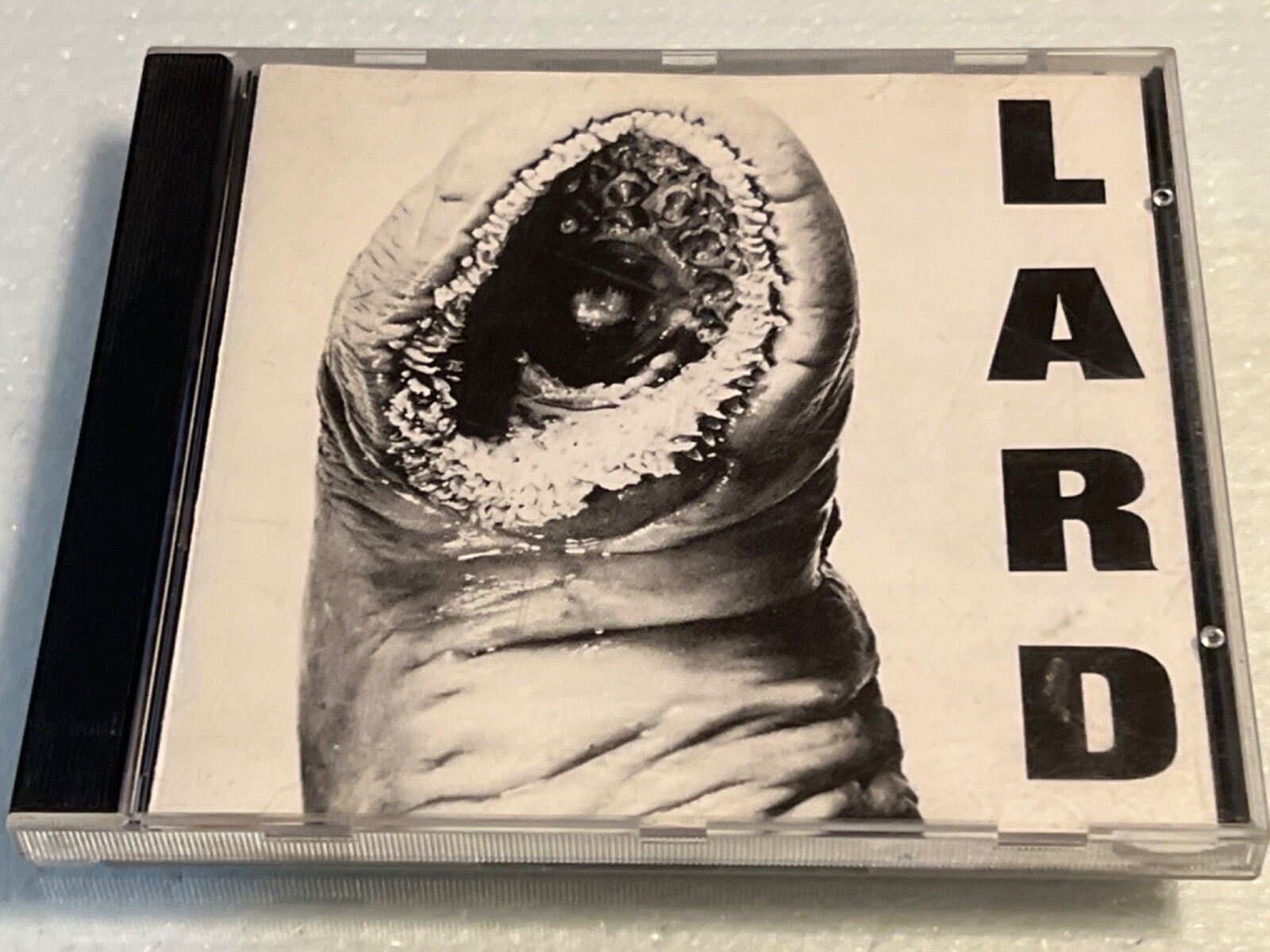 LARD CDセット 代表作3枚 Dead Kennedys Dead Kennedys | Spotify