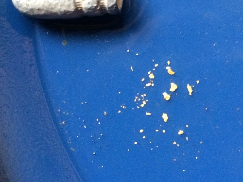 The Golden Leaf Mine (Colorado Placer Mine Claim)