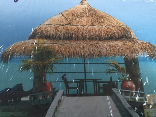 Tropical Beaches 2019 Calendar 16 Month Wall Hanging 12 X 11 Inch Beach Scenes