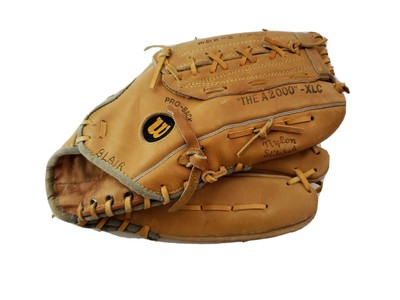 wilson a2000 dual hinge