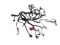 Ford S-Max II CK 15-19 Kabelbaum für Motor Ford S-Max II CK 15-19 19.12.2015 DU5T-12C508-MV DU5T-12C508 gebraucht Vorschau 1