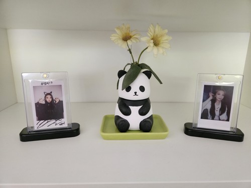 Fotos del artículo de un comprador verificado