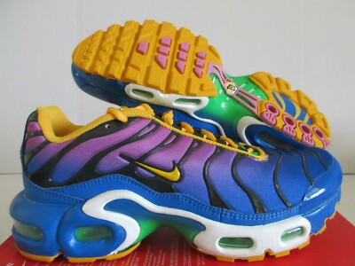 靴 NIKE AIR MAX PLUS 29CM NIKE AIR MAX PLUS (GS) 