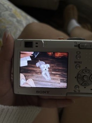 Foto dell'oggetto di un acquirente verificato