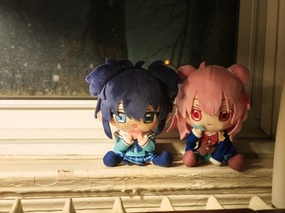 Zdjęcia przedmiotu od zweryfikowanego kupującego